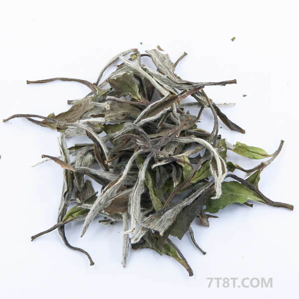 Wild White Peony White Tea (Bai Mu Dan)