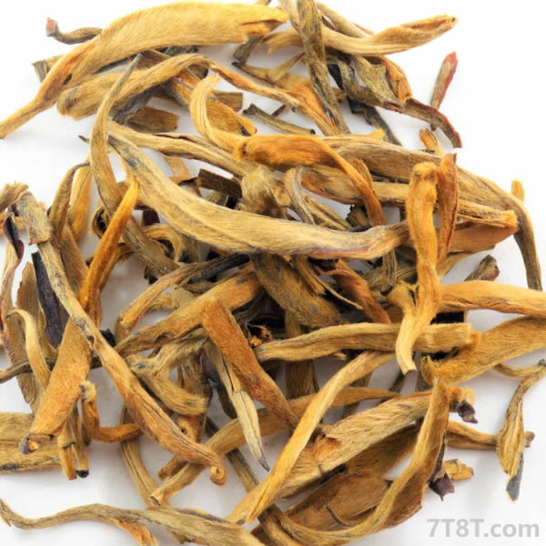 Ancient Tree Golden Tips Black Tea (Dian Hong)