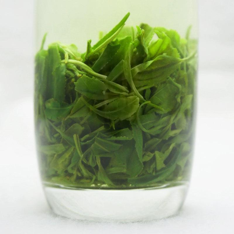 Premium Early Spring Green Tea - Concentrated Aroma, Mountain Mist White Hairs Maojian, Handpicked for Authentic Flavor