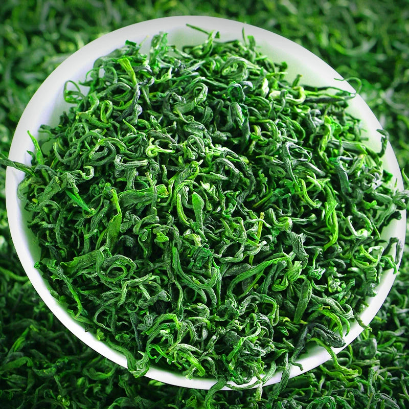 7T8T Rizhao Green Tea - Chinese geographical indication products