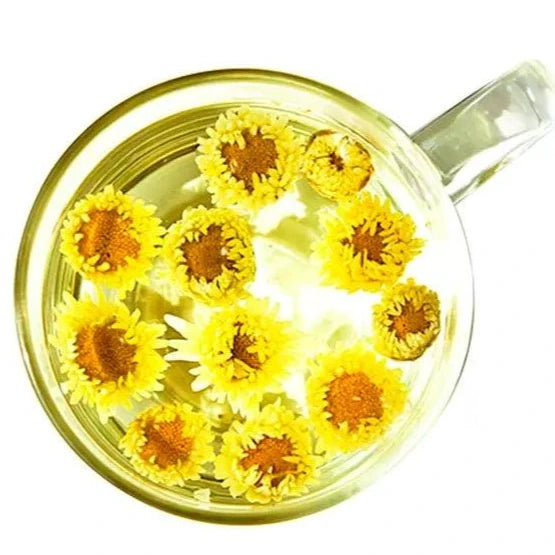 Luxury Grade Chrysanthemum Tea